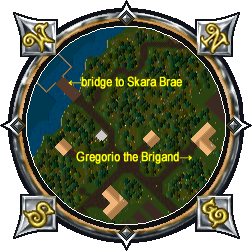 Natalie map 2.gif