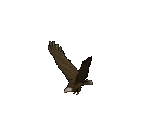Eagle.png