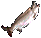 Fish 4.png