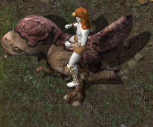 Savage riderkr.jpg