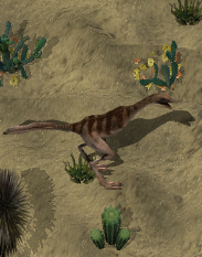 Desert ostardkr.jpg