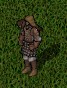 BNN Wyrms Search for Worm-Eaten Tome! - Picture 2.jpg