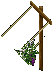 Grapevines south 5.png