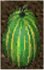 Green Gourd Carvable Pumpkin.jpg