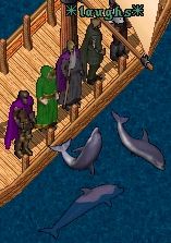 BNN Seer Sea Sight-Seeing Journey Spots Rare Britannian Wildlife - Picture 3.jpg