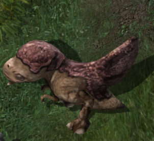 Ridgebackkr.jpg