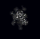 Essence of singularity.gif