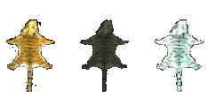 Tiger-rugs.gif