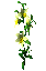 Vanilla plant.png