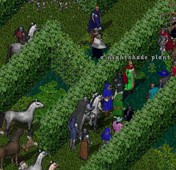 BNN Nightshade Found in Spiritwood - Picture 1.jpg