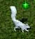 Albino squirrel.jpg
