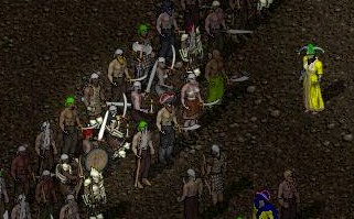 BNN Pirates Attack the Township of Oasis - Picture 1.jpg
