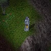 BNN Strange Appearances of a Lady in Blue - Picture 1.jpg