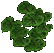 Lilly pads.png