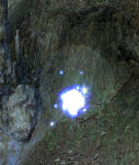 Crystal-wispkr.jpg
