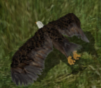 Eaglekr.png