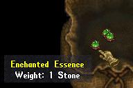 Enchanted essence.jpg