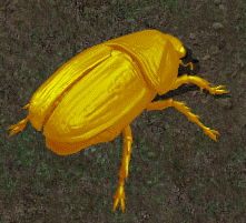 Fire beetlekr.png
