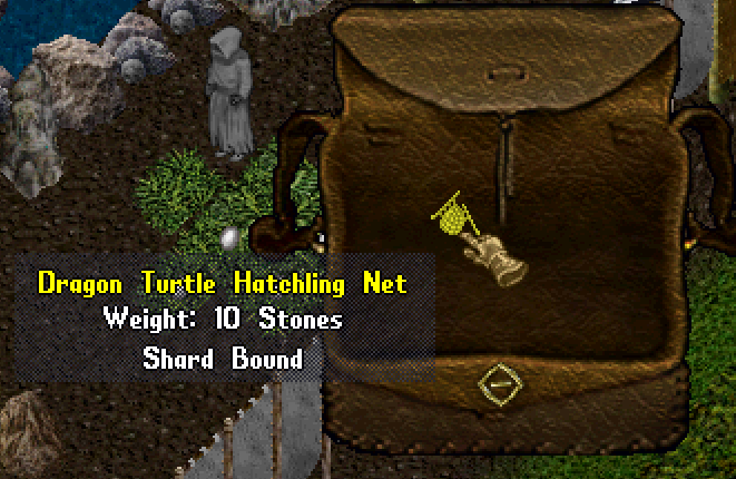DragonTurtleNet3.png
