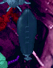 PB Puzzle 02.png