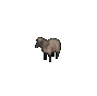Sheep.png