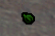 Spritelight Seedling.png