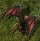 Greater mongbatkr.png