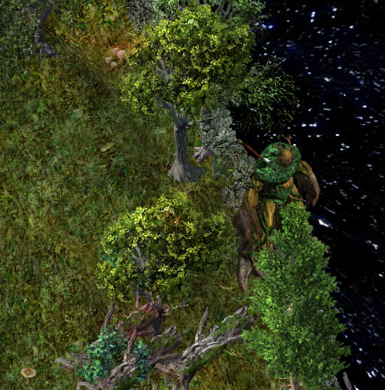 Living forestkr.jpg
