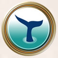 Large shard icon baja.jpg