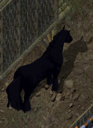 Dread warhorsekr.jpg