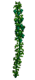 Hops Plant (South).png