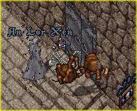 BNN An Interview with Scaramandine II - Picture 1.jpg