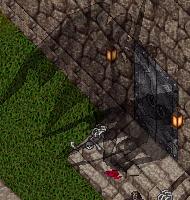 BNN Dark Plans - Picture 1.jpg