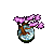 Common Bonsai Tree.png