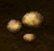 White Truffle.png