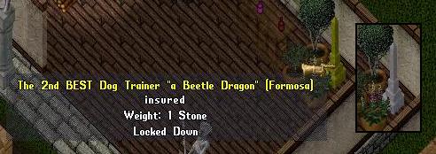 2nd best dog trainer.jpg