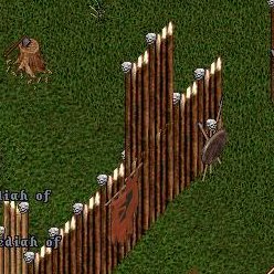 BNN New Orc Fort Destroyed - Picture 1.jpg