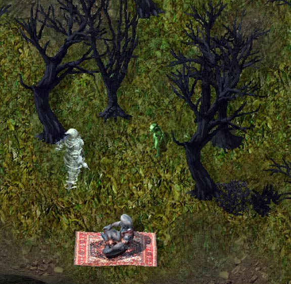 Burned-forest-kr.jpg