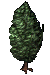 Juniper Bush.png