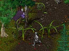 BNN Walking Plant Life Attacks Near Trinsic - Picture 1.jpg