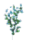 Flax1.png