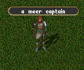 Meer Captain.jpg