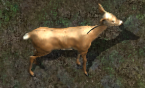 HindKR.png