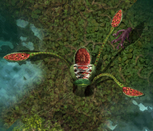 Corpser1kr.jpg
