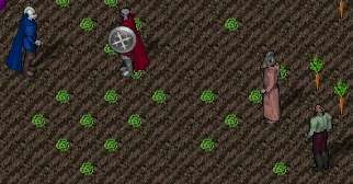 BNN Britain Farmer Hires Town Folk for Bountiful Harvest - Picture 1.jpg