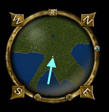 Trinsic jungle ruin map.jpg