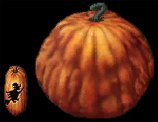 Giant Pumpkin.jpg