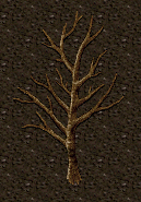 Peach trunk.png