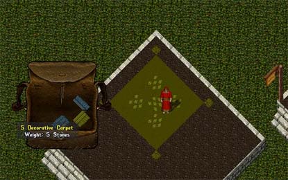 Custom carpets placement.jpg