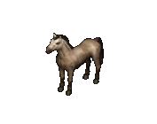 Horse.png